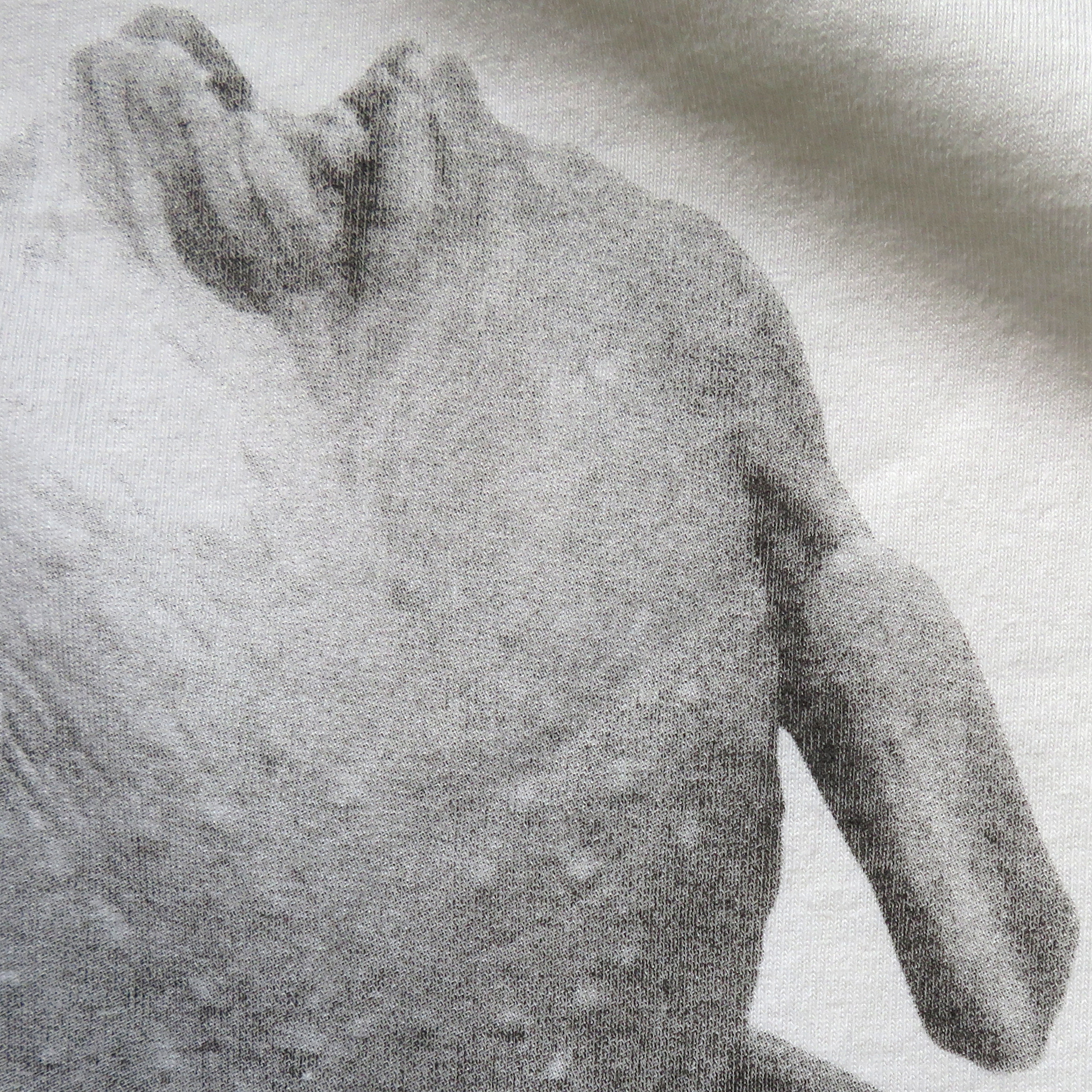 MR.BEAN�i�~�X�^�[�r�[���j�z���f�[T�V���c01up1