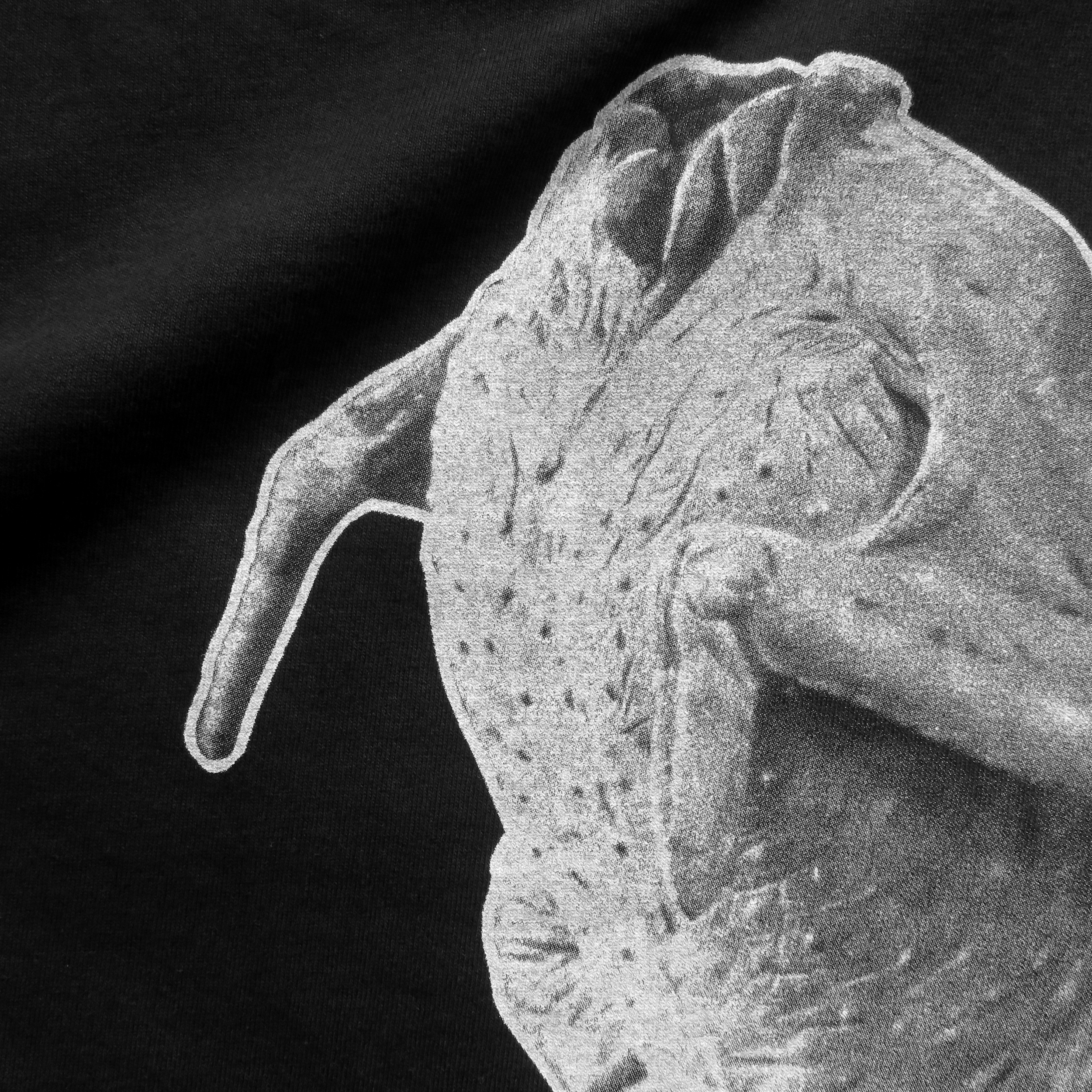 MR.BEAN�i�~�X�^�[�r�[���j�z���f�[T�V���c02up1