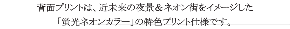 プリント解説文3